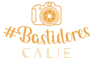 Moda Feminina Sticker by Calie