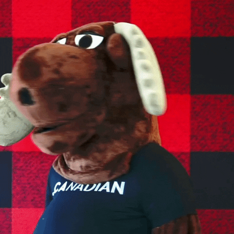 Canadian GIF by choose.ca