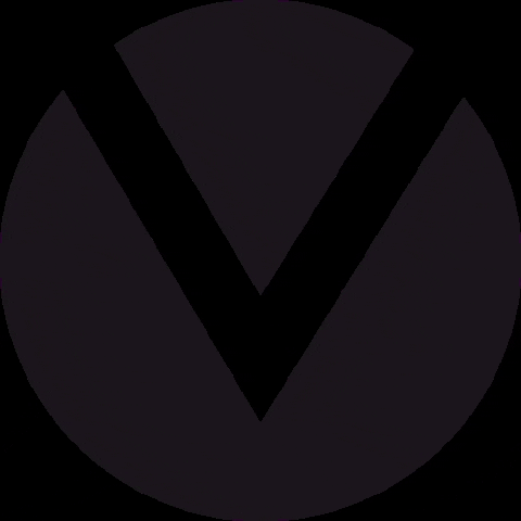 Vizeum Germany GIF