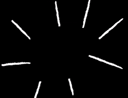 Svetlana Kohlmeier Fotografie GIF