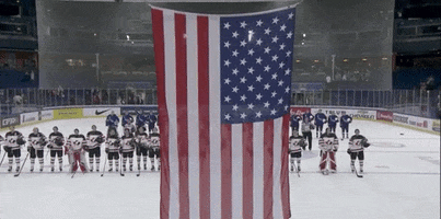 Ice Hockey Flag GIF by USA Hockey