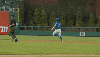 BlueHens baseball clapping slide safe GIF