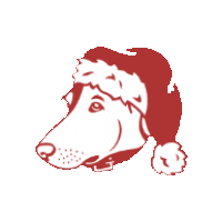 Buddy Brew Coffee Sticker