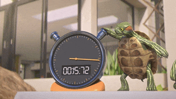 Best Time Wow GIF by MightyMike
