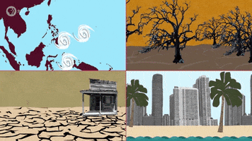 Climate Change Politics GIF by PBS Digital Studios