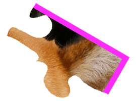 Puzzle Shiba Sticker