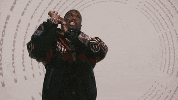 Def Jam Bombs GIF by Fabolous