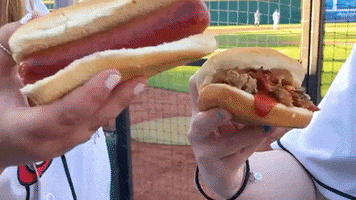 LansingLugnuts baseball michigan hot dog lansing GIF