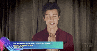 Shawn Mendes GIF by FOX Teen Choice