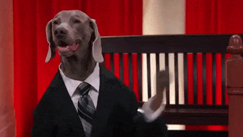 wave hi john oliver GIF