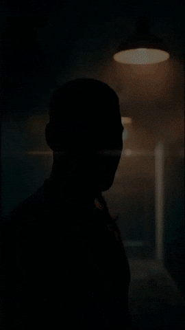 Nrl Dragons GIF