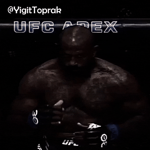 Ufc Fighting GIF