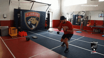 Cats Nhl GIF by Florida Panthers