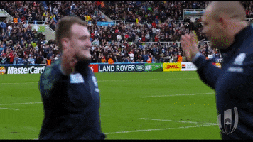 High Five Scotland Rugby GIF by Rugby World Cup