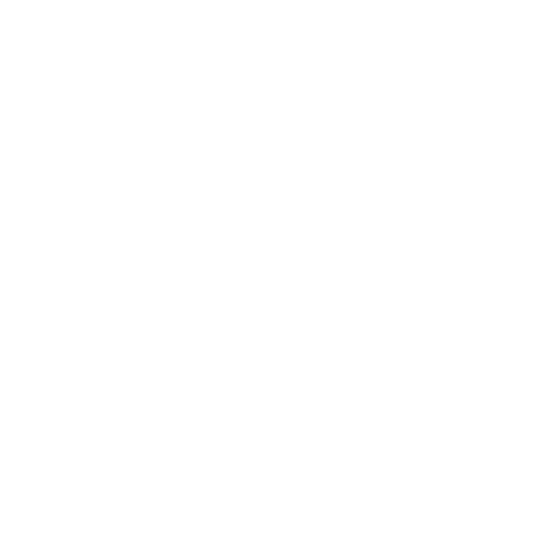 Worldskills México Sticker