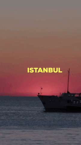 One Yacht GIF