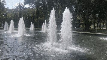 fountain usf GIF by University of South Florida