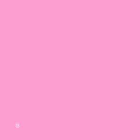 Pink Rain GIF by ArmyPink