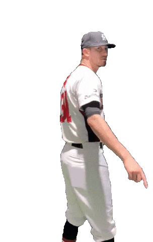 Want You Baseball Sticker by Buchbinder Legionäre Regensburg