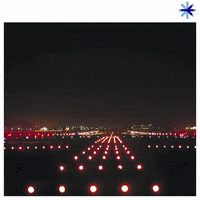 New Year Lights GIF by InterjetAirlines
