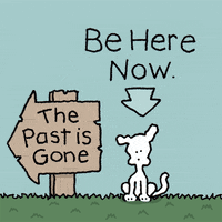 The Past Is Past GIFs - Find & Share on GIPHY