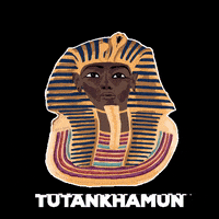 King Tut GIF by Monstera Mania