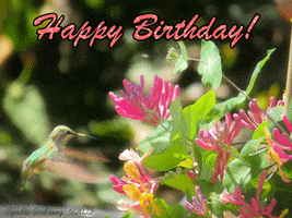 Birthday GIF
