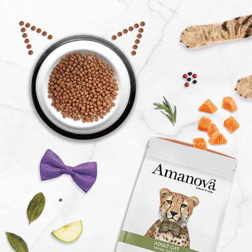 Cat Dog GIF by Amanova Pet Food