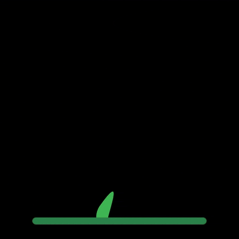 Semente Germinar GIF by Terra Greda