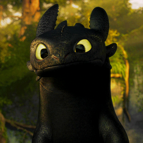 How To Train Your Dragon Gifs Get The Best Gif On Giphy