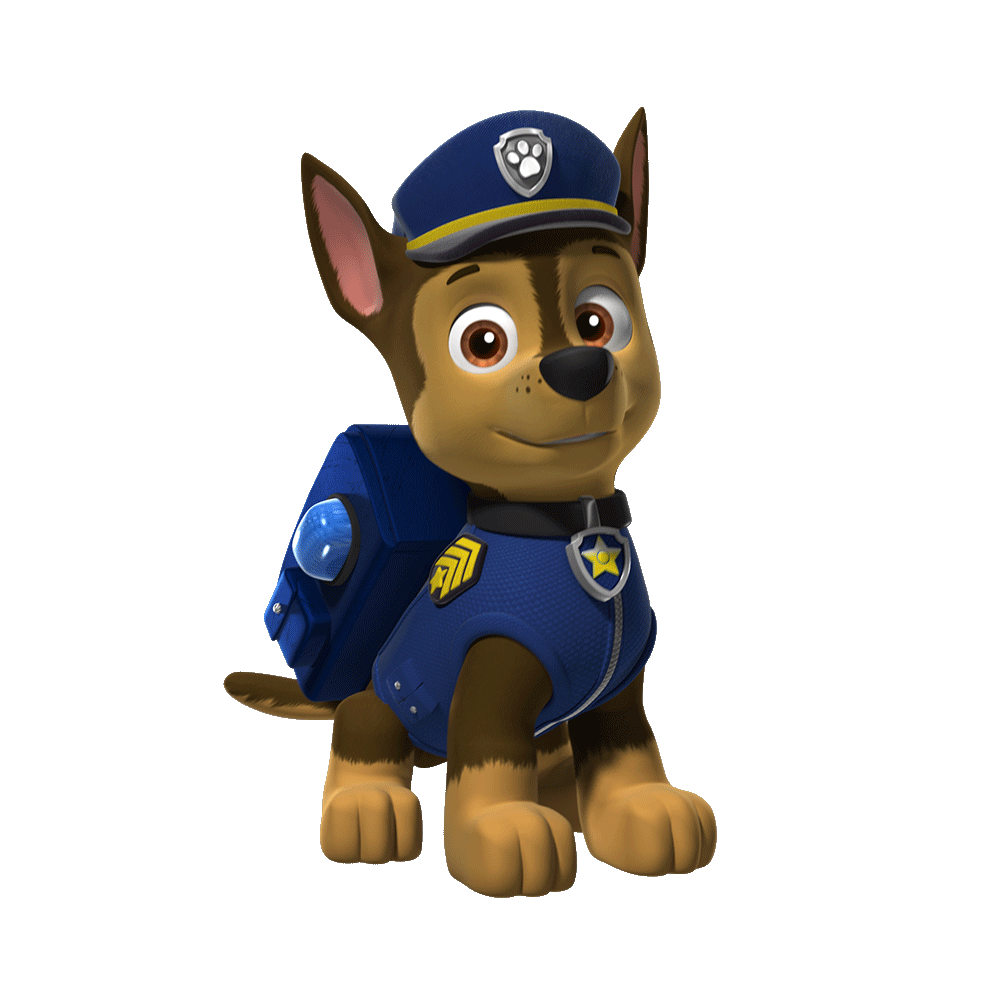 paw patrol dogs