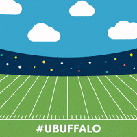 College Football GIF by ubuffalo