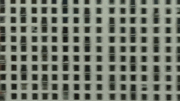 Wesanderson GIF