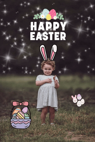 Easter Bunny Chocolate GIF by Reifanzo Photography
