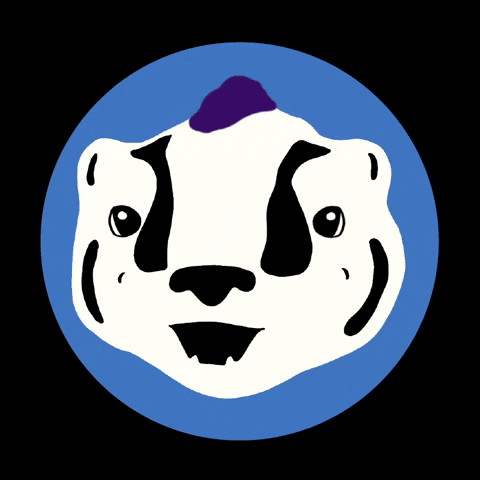 Badger GIF by Spring Hill College