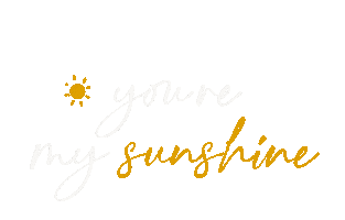 Sun Sticker