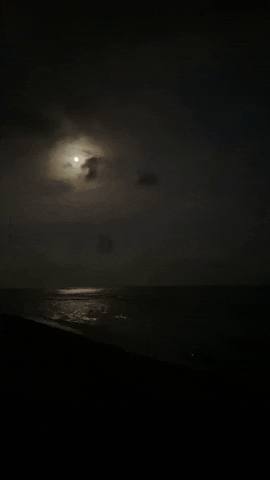 Moon Kauai GIF by BeerSelfie