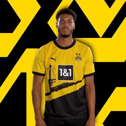 Bvb GIF by Borussia Dortmund