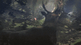 skyrim