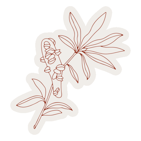 janishouse Sticker