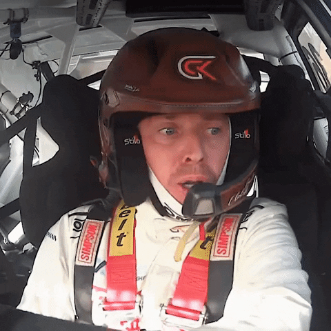 Excited Racing GIF by World RX - FIA World Rallycross Championship