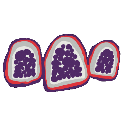 Ikuntji Artists Sticker