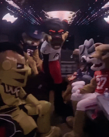 Big 12 Football GIF by Bearcat