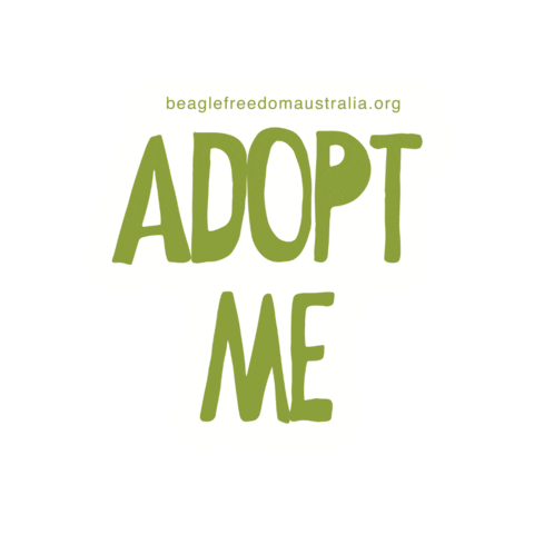 Beagle Freedom Australia Sticker