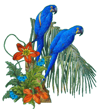 Animated Sticker