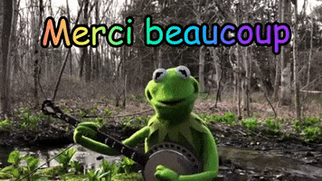 Kermit Merci GIF