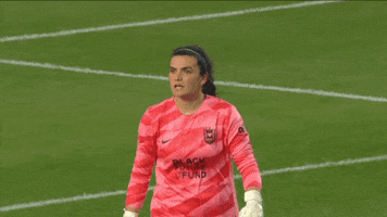No Way Point GIF by National Women's Soccer League