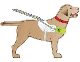 Yellow Lab Superhero Sticker by Canadian Guide Dogs For The Blind