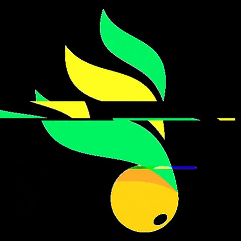 Ke Soja Comércio de Insumos e Máquinas Agrícolas LTDA GIF