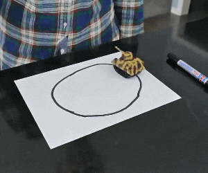 Animated GIF